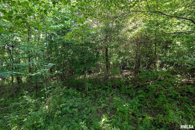 000 Parker City Rd, Creal Springs, IL 62922 - photo 25