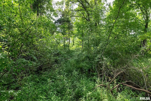 000 Parker City Rd, Creal Springs, IL 62922 - photo 26