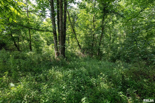 000 Parker City Rd, Creal Springs, IL 62922 - photo 27