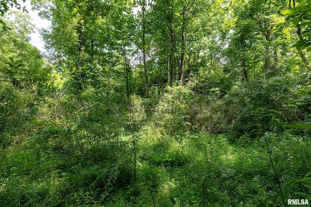 000 Parker City Rd, Creal Springs, IL 62922 - photo 28
