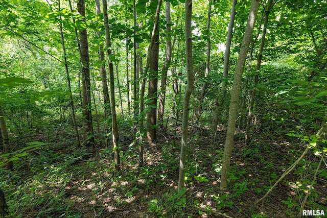 000 Parker City Rd, Creal Springs, IL 62922 - photo 29