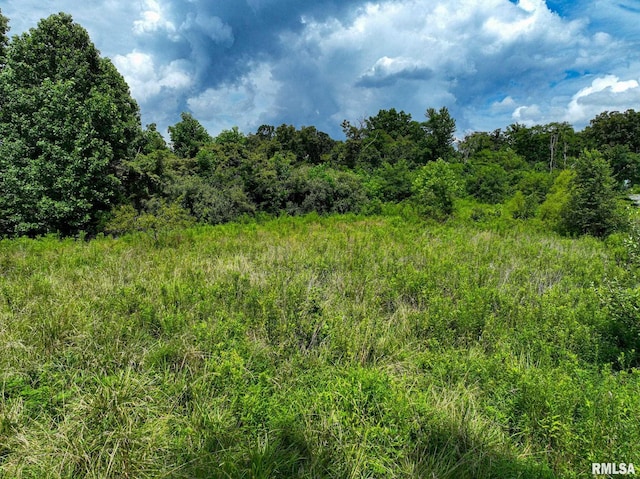 000 Parker City Rd, Creal Springs, IL 62922 - photo 4