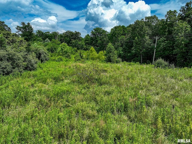 000 Parker City Rd, Creal Springs, IL 62922 - photo 5