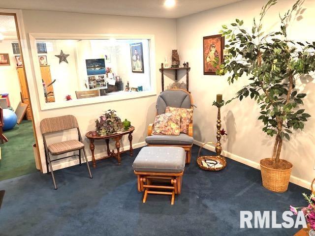 1900 N 22nd St, Springfield, IL 62702 - photo 27
