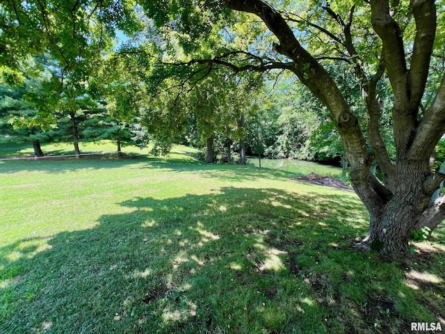 465 Juniper Dr, Petersburg, IL 62675 - photo 31