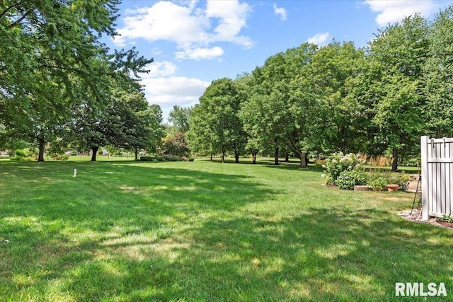14463 Pioneer Dr, Athens, IL 62613 - photo 35
