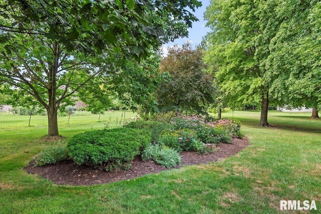 14463 Pioneer Dr, Athens, IL 62613 - photo 42