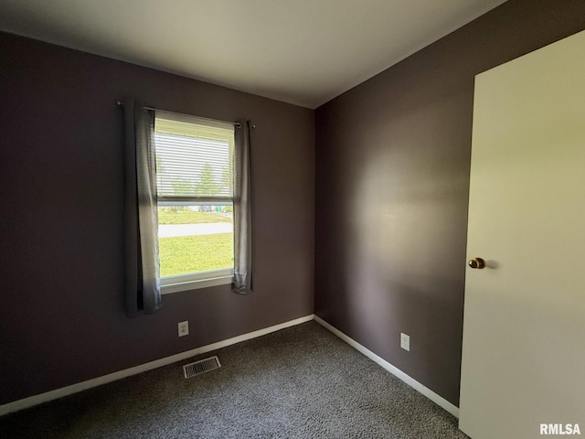 899 Lawrence Ave, Galesburg, IL 61401 - photo 29