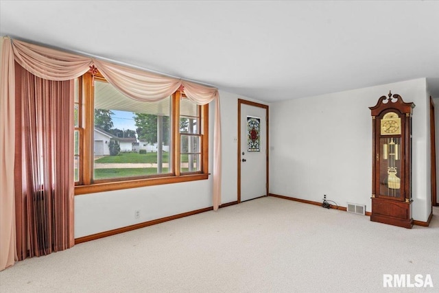 207 N St, Sherman, IL 62684 - photo 7
