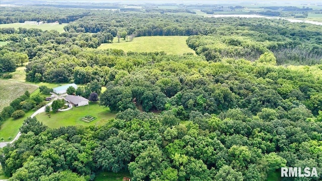 Bell Fountain Rd, Dawson, IL 62520 - photo 4