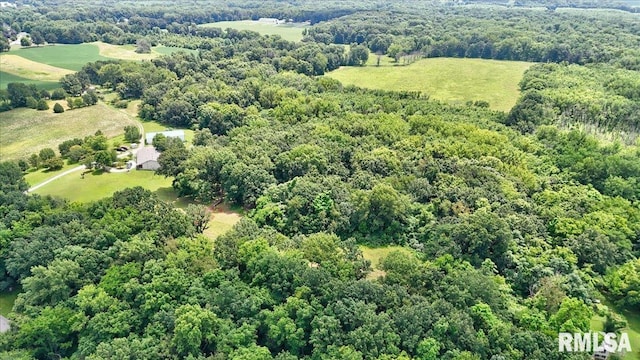 Bell Fountain Rd, Dawson, IL 62520 - photo 7