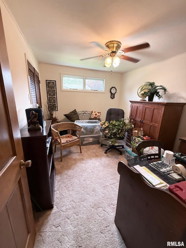 205 Cherry St, Hull, IL 62343 - photo 14