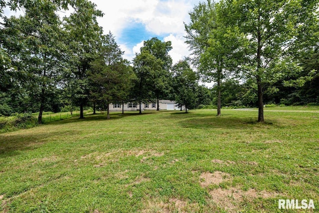 2335 Parker City Rd, Creal Springs, IL 62922 - photo 32