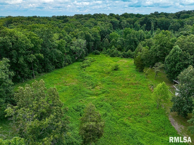 2335 Parker City Rd, Creal Springs, IL 62922 - photo 41
