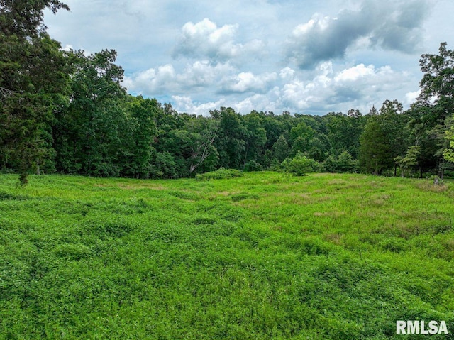 2335 Parker City Rd, Creal Springs, IL 62922 - photo 42