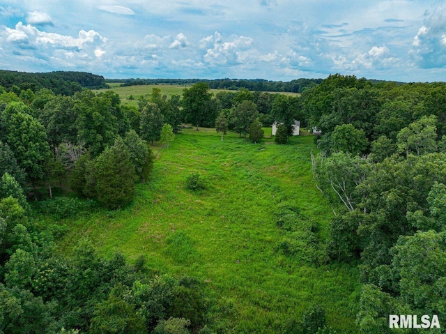 2335 Parker City Rd, Creal Springs, IL 62922 - photo 43