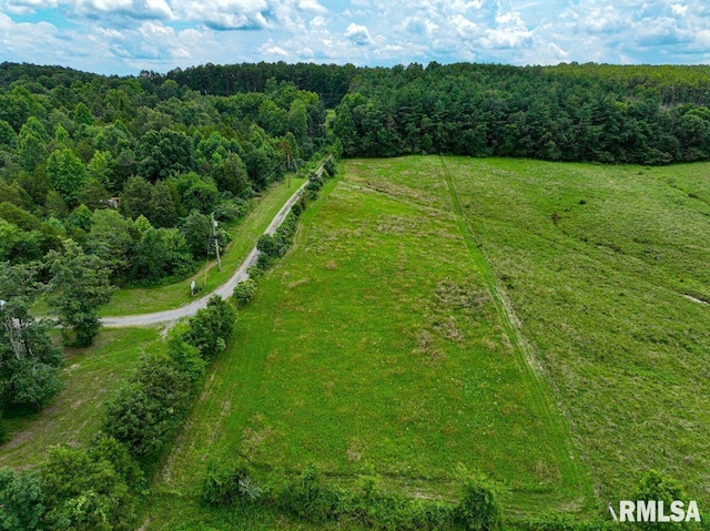2335 Parker City Rd, Creal Springs, IL 62922 - photo 44