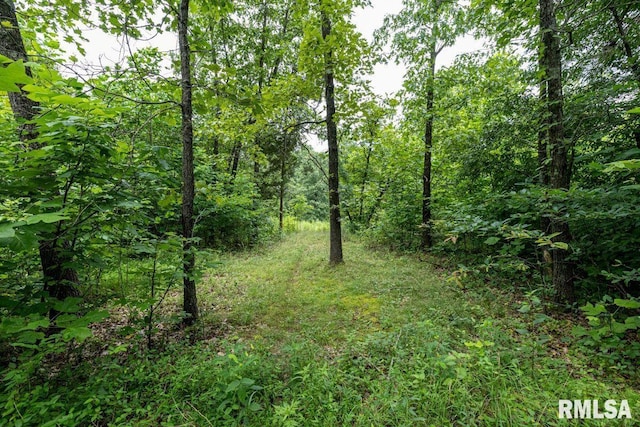 2335 Parker City Rd, Creal Springs, IL 62922 - photo 47
