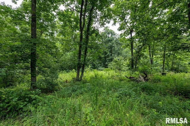 2335 Parker City Rd, Creal Springs, IL 62922 - photo 48
