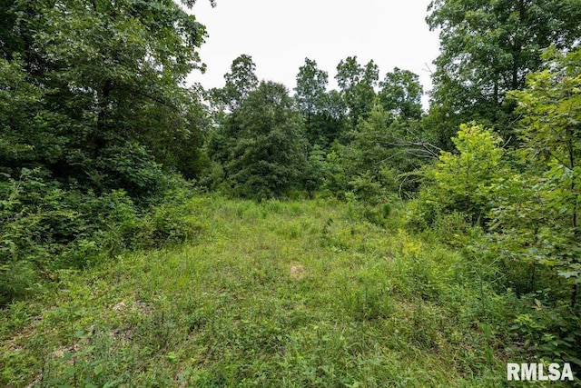 2335 Parker City Rd, Creal Springs, IL 62922 - photo 51
