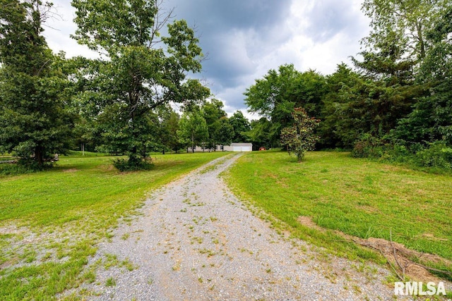 2335 Parker City Rd, Creal Springs, IL 62922 - photo 53