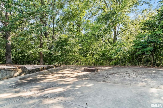 13599 Woodland Dr, Athens, IL 62613 - photo 73