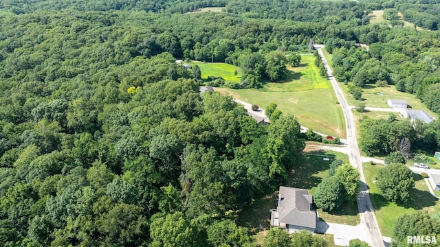 13599 Woodland Dr, Athens, IL 62613 - photo 87
