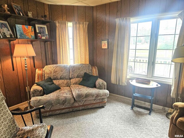 52 W Losey St, Galesburg, IL 61401 - photo 15
