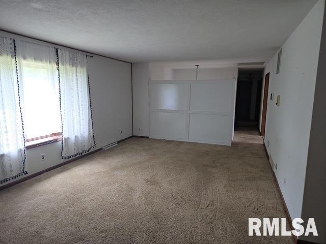 1000 E Washington St, Riverton, IL 62561 - photo 7