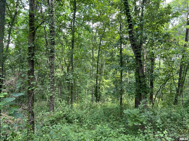 15 N 550th Ave, Clayton, IL 62375 - photo 5