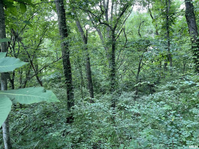 15 N 550th Ave, Clayton, IL 62375 - photo 7