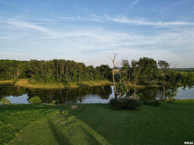 1912 Athena Ct, Chatham, IL 62629 - photo 6