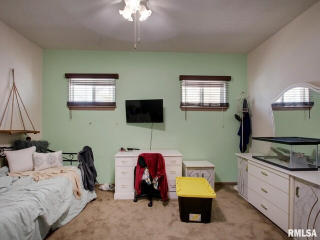 1303 Locust St, Quincy, IL 62301 - photo 14