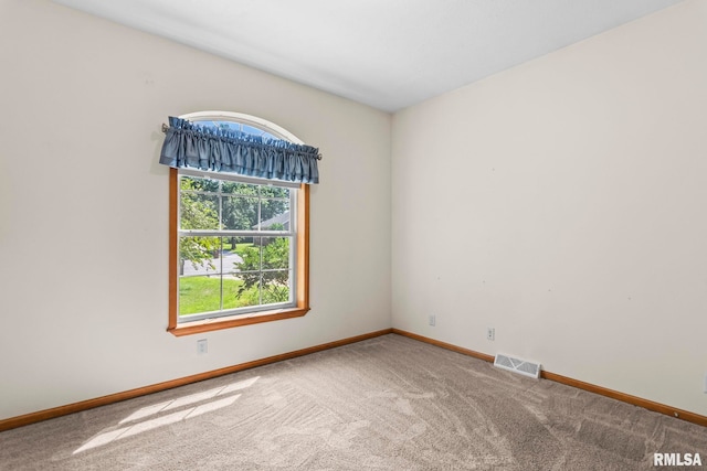 103 Hagan Ct, Taylorville, IL 62568 - photo 28