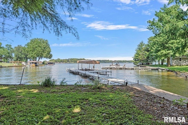90 S Fox Mill Ln, Springfield, IL 62712 - photo 67