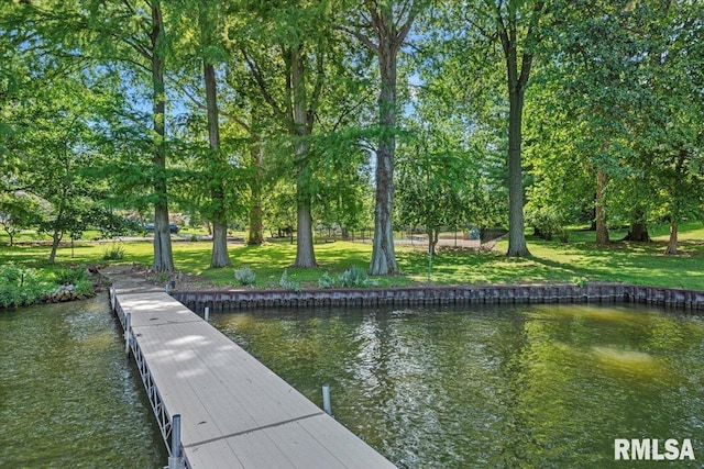 90 S Fox Mill Ln, Springfield, IL 62712 - photo 71