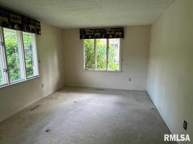 8 Mara Ln, Taylorville, IL 62568 - photo 26