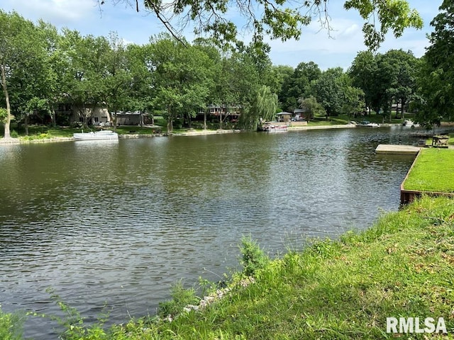 8 Mara Ln, Taylorville, IL 62568 - photo 42
