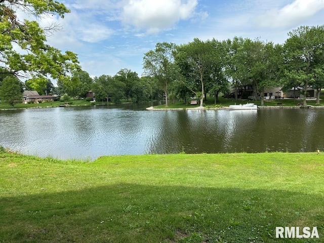 8 Mara Ln, Taylorville, IL 62568 - photo 43
