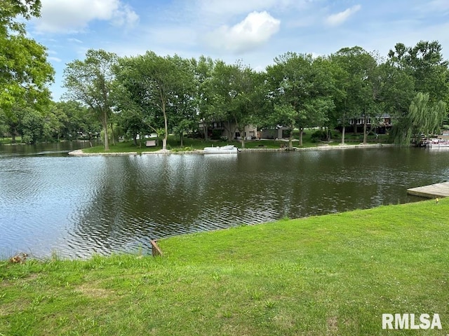 8 Mara Ln, Taylorville, IL 62568 - photo 45