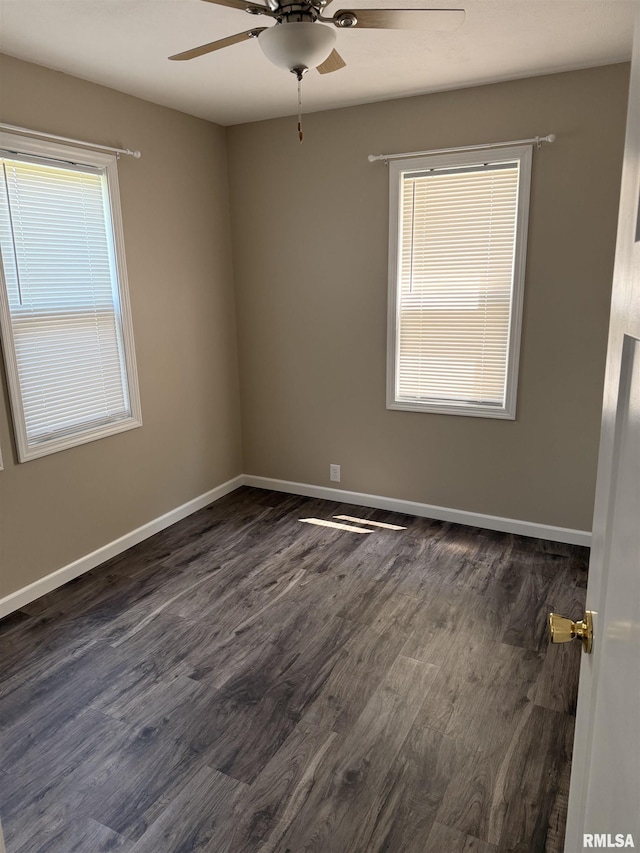 813 N Stephen Ave, Springfield, IL 62702 - photo 6