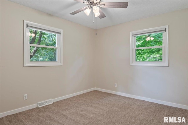 4306 W Jefferson St, Springfield, IL 62707 - photo 30