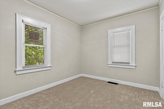 1025 N Walnut St, Springfield, IL 62702 - photo 15