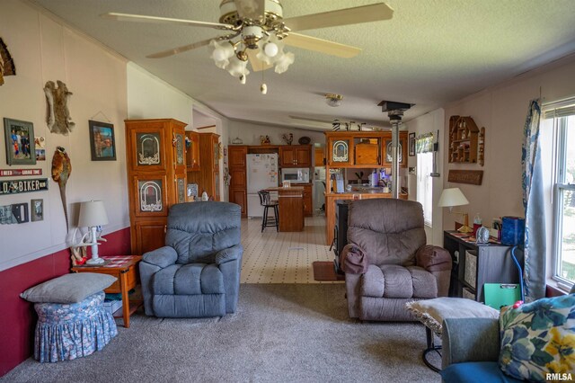 1752 Duncan Rd, Roodhouse, IL 62082 - photo 15
