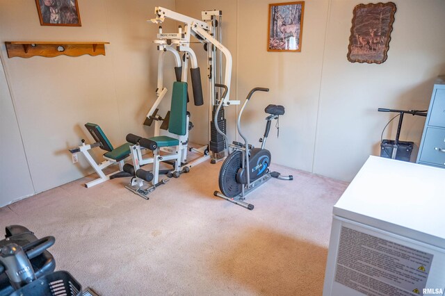 1752 Duncan Rd, Roodhouse, IL 62082 - photo 20