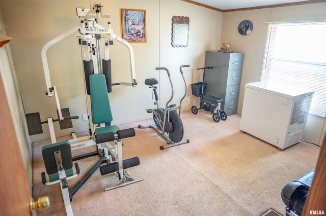 1752 Duncan Rd, Roodhouse, IL 62082 - photo 21