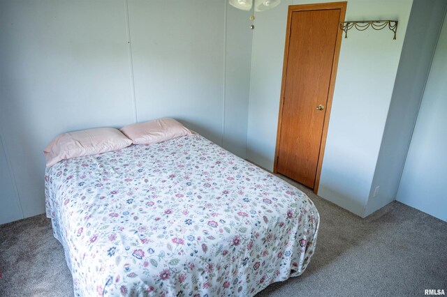 1752 Duncan Rd, Roodhouse, IL 62082 - photo 23