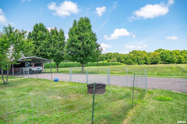 1752 Duncan Rd, Roodhouse, IL 62082 - photo 48
