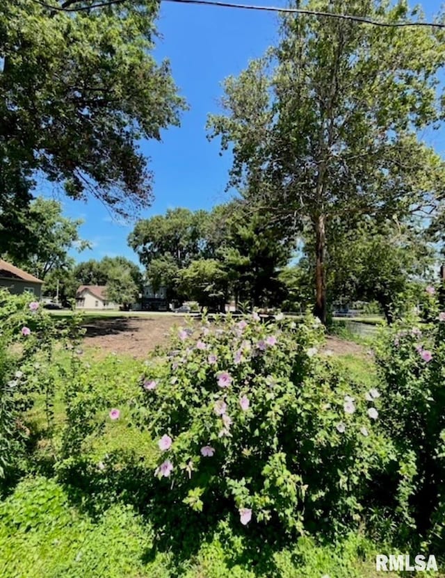 412 W 1st St, Taylorville, IL 62568 - photo 4