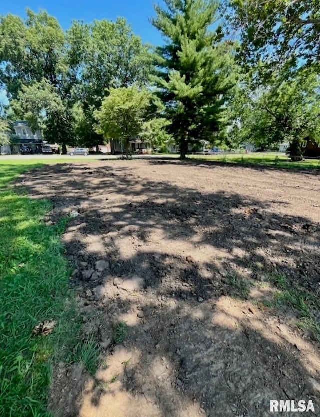 412 W 1st St, Taylorville, IL 62568 - photo 5